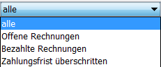 Rechnungsstatus